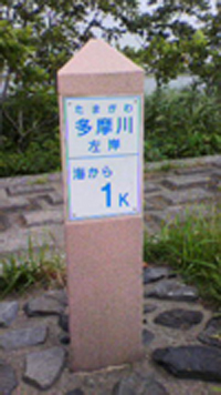 20110706_fujii②.JPG