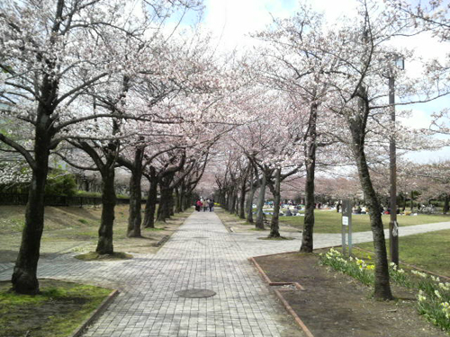 201204016_01.jpg