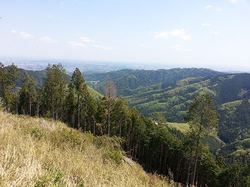 20130607-002.jpg