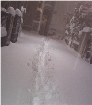 20140221.jpg