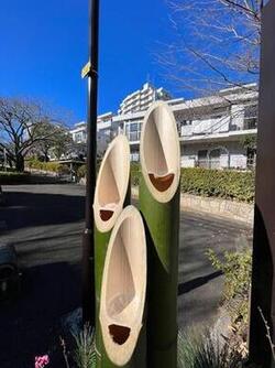 笑顔の竹IMG_6890.jpgのサムネイル画像のサムネイル画像