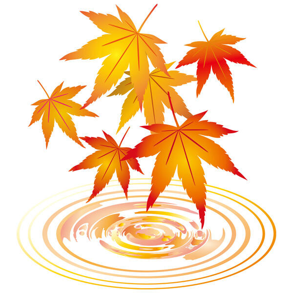 紅葉について