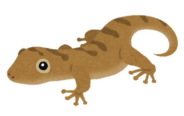 ヤモリ
